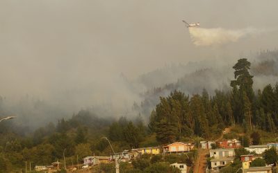 Columna de opinión: Riesgo latente de incendios forestales y necesidad de planificación territorial